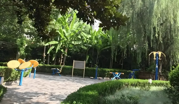 深圳深户如何办理_明星梦可以有，但不能是因为不想上学 拒戒国惩戒善守失信